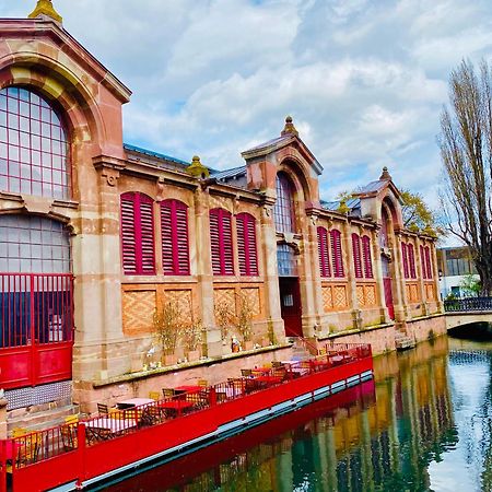 Appartement Spacieux A Colmar Avec Terrasse, Garage Privatif, Proche Centre Et Gare - Fr-1-722-2 Экстерьер фото