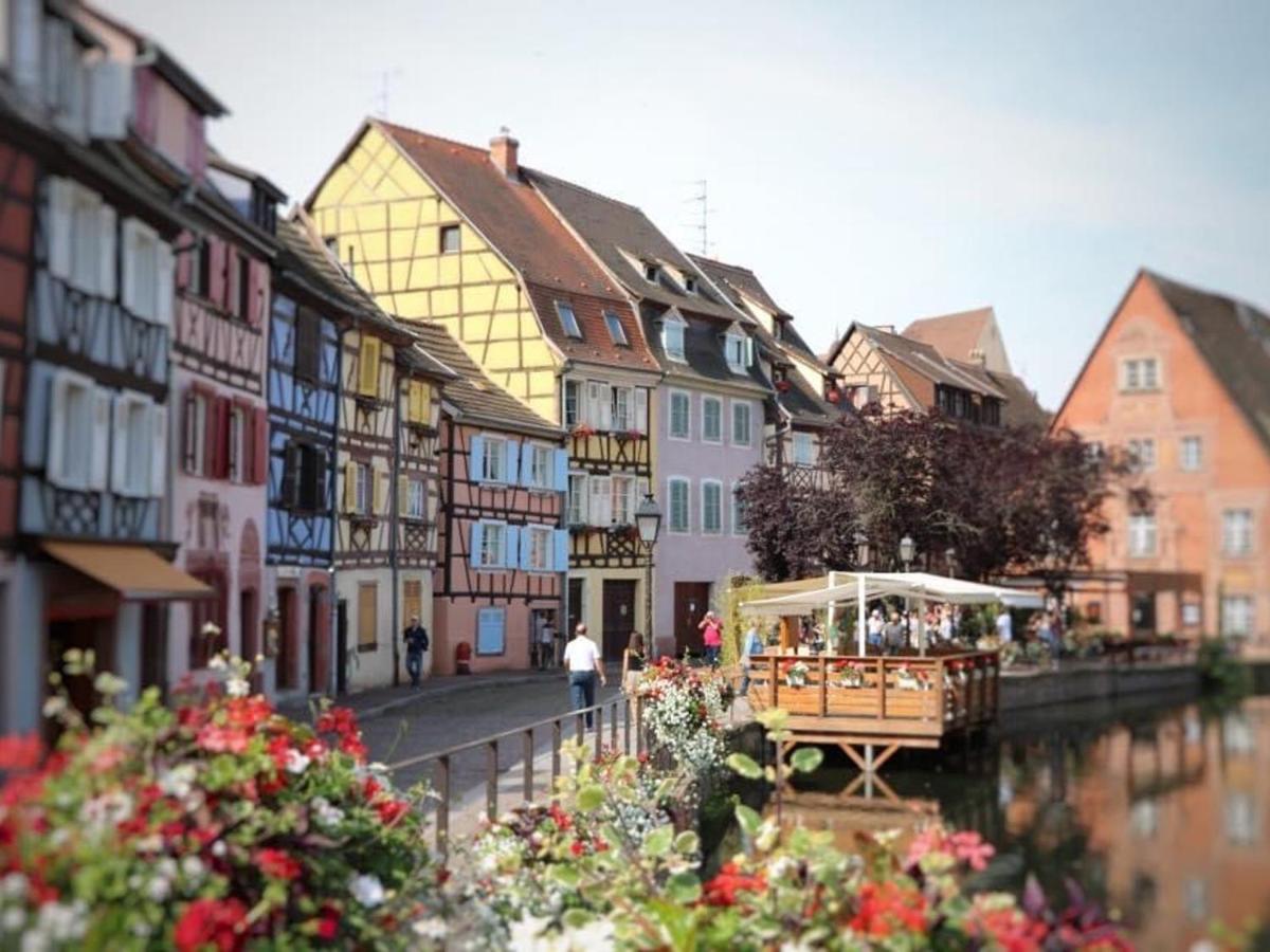 Appartement Spacieux A Colmar Avec Terrasse, Garage Privatif, Proche Centre Et Gare - Fr-1-722-2 Экстерьер фото